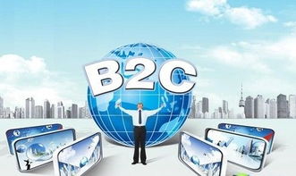 白鸦漫谈 中心化电商的崛起、挑战与未来